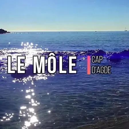 Paisible A Avec Piscine Partagee * Agde