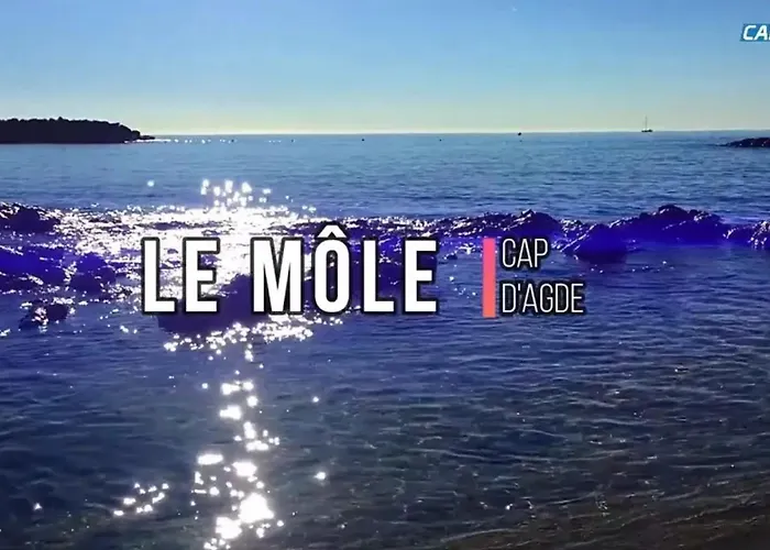 Paisible à Avec Piscine Partagée * Agde